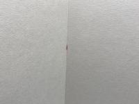 よく分る実用中医学　1　陳木森　株式会社ホンゾウ