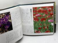 草木花歳時記　春夏秋冬全4冊　金子兜太、稲畑汀子　朝日新聞社