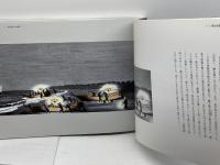 焼津漁業絵図　鈴木兼平画・文　神野善治編　　近藤和船研究所　平15年再版