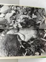 高崎の散歩道　第5・6・7・9集　4冊セット　高崎観光協会