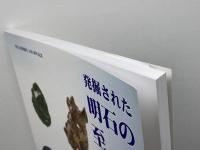 発掘された明石の至宝　明石市制施行100周年記念　2019　明石市