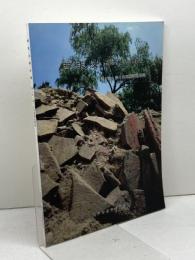 西求女塚古墳　第５次・第７次発掘調査概報　1995年　64P　神戸市教育委員会