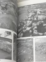 神戸市兵庫区　祇園遺跡　第5次発掘調査報告書　2000　53P+グラフ+図版46P　神戸市教育委員会