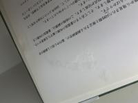 図録『特別展 銅鐸の世界展 地の神への「いのり」』（神戸市立博物館/1993年） 女神の息吹