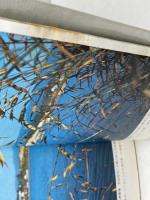 大阪の史跡を訪ねて 　歴史散歩シリーズ 1　原始古代編　ナンバー出版