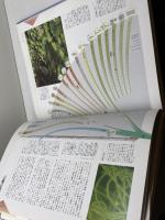 生命と地球の進化アトラス 全3冊　朝倉書店