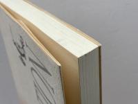 ローマの信徒への手紙　聖書解釈と神学・思想　日本版インタープリティション　75