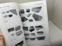 野瀬遺跡　淡河地区農業基盤整備事業に伴う埋蔵文化財発掘調査報告書　02　神戸市教育委員会