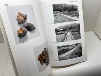 野瀬遺跡　淡河地区農業基盤整備事業に伴う埋蔵文化財発掘調査報告書　02　神戸市教育委員会