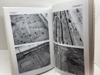 松野遺跡発掘調査報告書　第3-7次調査　神戸市教育委員会文化財課
