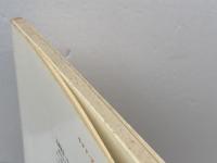 こころの考古学 猿人からの心性の進化 Monad books 34　上野佳也　海鳴社　