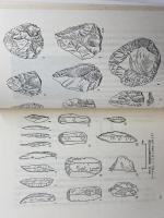 こころの考古学 猿人からの心性の進化 Monad books 34　上野佳也　海鳴社　