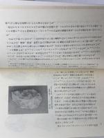 こころの考古学 猿人からの心性の進化 Monad books 34　上野佳也　海鳴社　