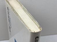 西洋思想の歴史（下） ヘーゲルからサルトル・現代の展望　ラビン　理想社　