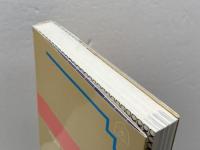 居飛車穴熊3度将棋が強くなる 大泉書店 中原 誠