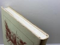 六甲山麓の自然と環境を守る運動史　貫名初子　「六甲山麓運動史」刊行委員会