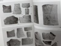 白水遺跡　第４次　神戸国際港都建設事業　神戸市白水特定土地区画整理事業に伴う埋蔵文化財発掘調査報告書　９９年