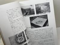 白水遺跡　第４次　神戸国際港都建設事業　神戸市白水特定土地区画整理事業に伴う埋蔵文化財発掘調査報告書　９９年