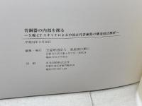 青銅器の内部を探る　X線CTスキャナによる中国古代青銅器の構造技法解析　泉屋博古館