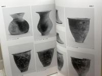 出合遺跡　第45・46次発掘調査報告書　神戸市教育委員会　２０１３年