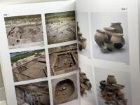 出合遺跡　第45・46次発掘調査報告書　神戸市教育委員会　２０１３年