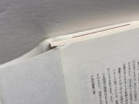 王権の修辞学: フランス王の演出装置を読む (講談社選書メチエ 315) 講談社 今村 真介