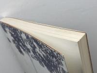 南嶺慕情　勁草会創立二十周年記念誌　新京法政大学同窓会