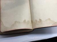 舊新約聖書　エフ・パロット　英国聖書協会　明治39年発行　