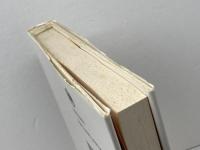 生態学的破壊とキリスト教: 魚の腹の中で (21世紀キリスト教選書) 新教出版社 ゲルハルト リートケ