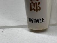 神の旅人: パウロの道を行く 新潮社 森本 哲郎