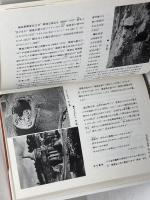 聖書時代の生活 (2) 古代イスラエルの制度と宗教 創元社 南部 泰孝