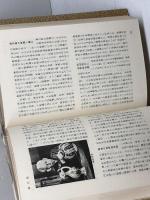 日本宗教事典 (1978年)　村上重良 　講談社