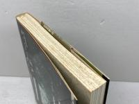 ひとり歩きの金剛山 山と溪谷社 藤田 健次郎