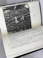 ひとり歩きの金剛山 山と溪谷社 藤田 健次郎