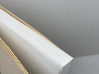 三田の町制　高田義久　2002年