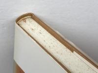 検非違使: 中世のけがれと権力 (平凡社選書 102) 平凡社 丹生谷 哲一