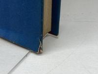 アッシジの聖フランチェスコ　ヨハンネス・ヨエルゲンゼン　ドン・ボスコ社