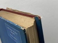 アッシジの聖フランチェスコ　ヨハンネス・ヨエルゲンゼン　ドン・ボスコ社