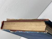 アッシジの聖フランチェスコ　ヨハンネス・ヨエルゲンゼン　ドン・ボスコ社