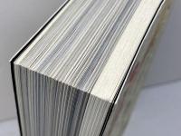 躍動する魂のきらめき　日本の表現主義　東京美術　2009