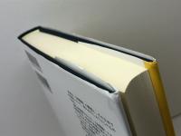 『金瓶梅』の構想とその受容 研文出版 川島優子