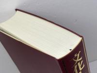 文化人類学事典 丸善 日本文化人類学会