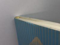 生活再生にむけての支援と支援インフラ開発  相川書房  三毛 美予子