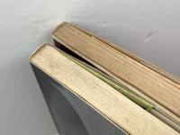 これを知らないと勝てない　居飛車穴熊入門・居飛車穴熊実戦集　２冊セット　田中寅彦　枻出版社