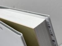 ユカ坐・イス坐: 起居様式にみる日本住宅のインテリア史 (住まい学大系 66) 住まいの図書館出版局 沢田 知子