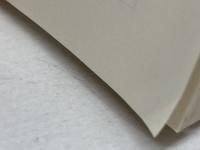 メトロポリス (創元SF文庫) 東京創元社 テア・フォン・ハルボウ