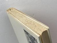 大衆国家と独裁: 恒久の革命 みすず書房 シグマンド ノイマン