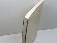 NNN二十五年の歩み　日本ニュースネットワーク 　1991年