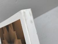 交換の民族誌: あるいは犬好きのための人類学入門 (世界思想ゼミナール) 世界思想社教学社 中川 敏