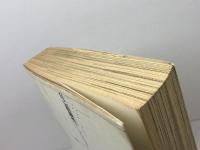 情報と文化: 多様性・同時性・選択性 (BOOKS IN・FORM special) エヌティティ出版